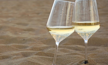 12 сортов винограда, из которых делают белое вино