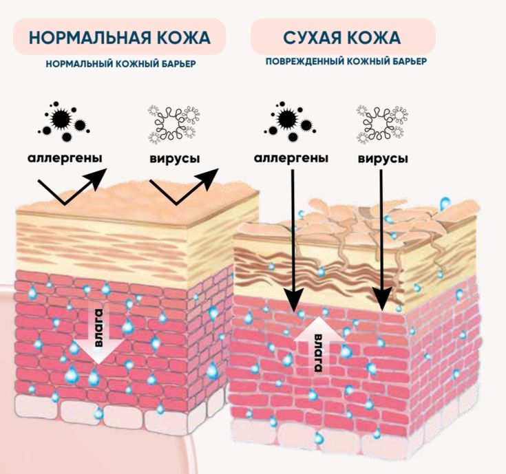 d9eab5b0c76e3ea06e54e7fd364464e5.jpg